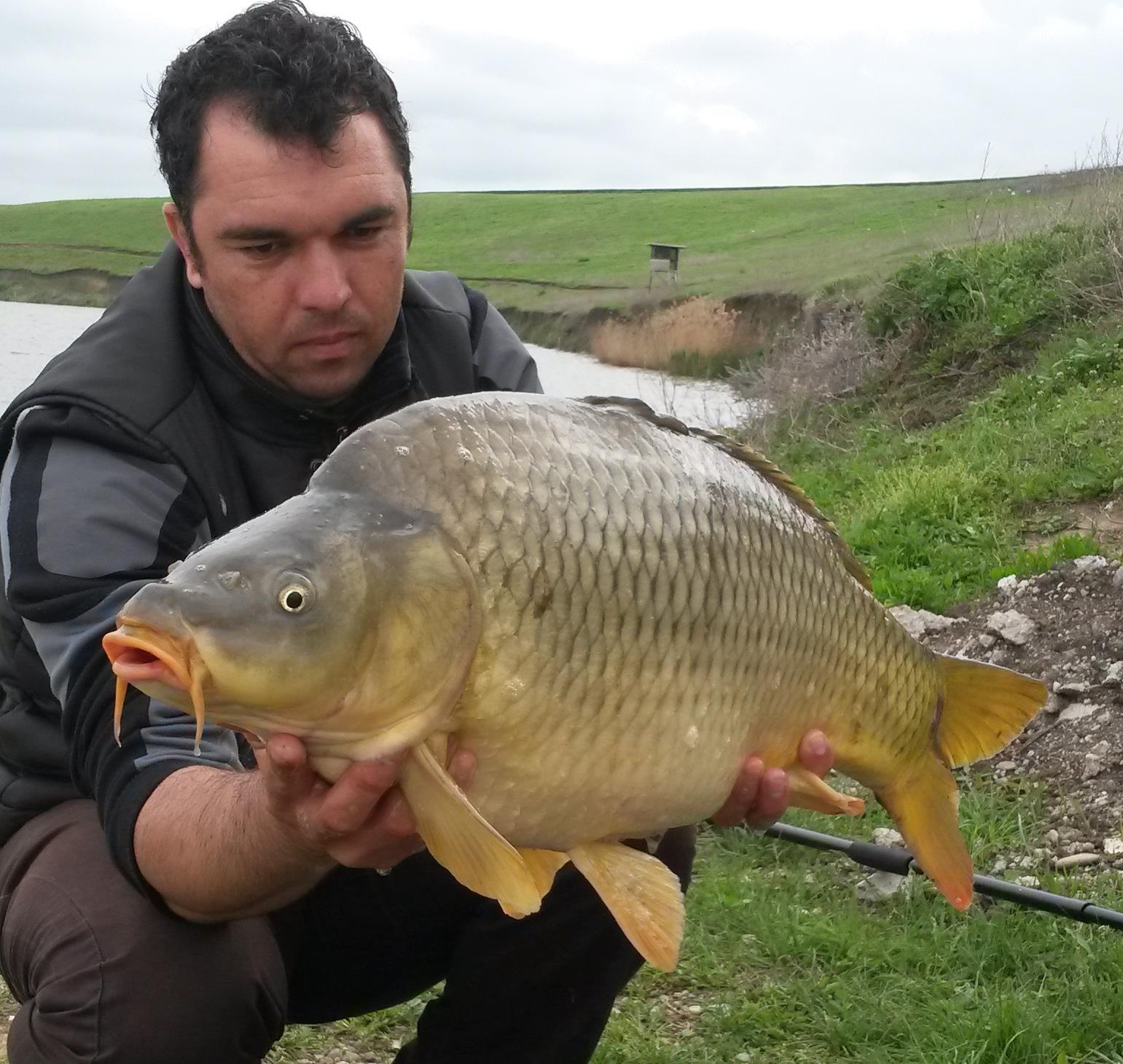 Sulimanu 27 aprilie 2014 - 7.jpg